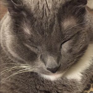 Meet your Posher, Nikki